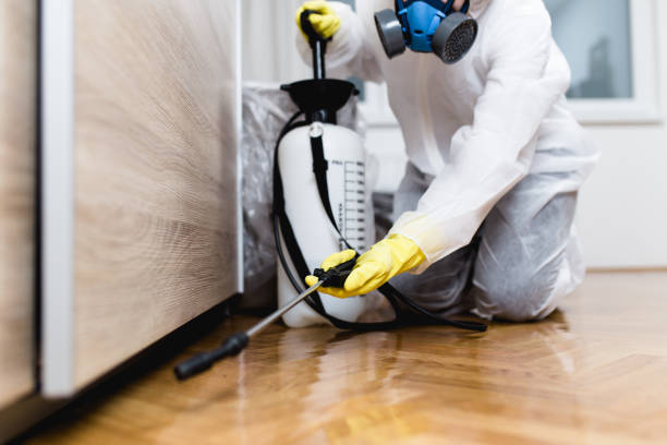 Best Wasp Removal Services  in Greendale, IN