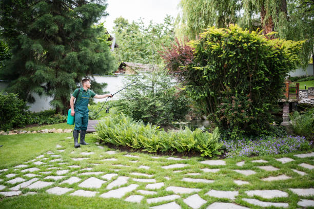 Best Pest Control Near Me in Greendale, IN