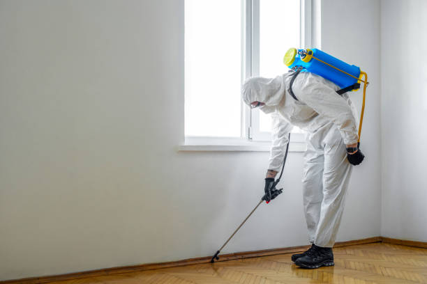 Best Mosquito Control Services  in Greendale, IN