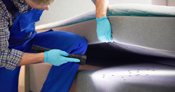 Wasp Removal Services in Greendale, IN