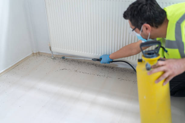 Best Pest Control for Homes  in Greendale, IN