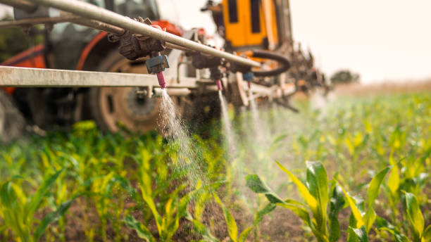 Best Commercial Pest Control Services  in Greendale, IN