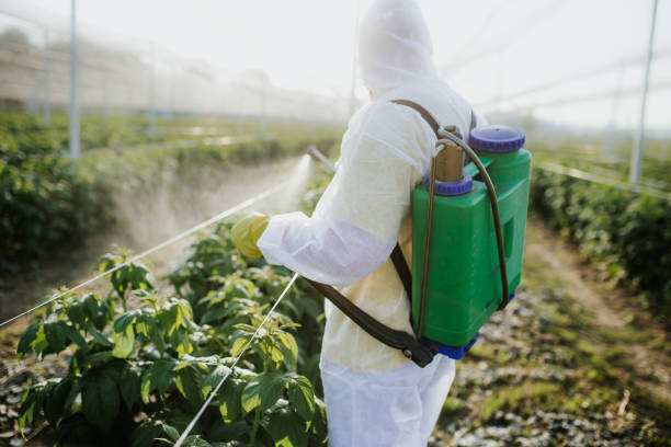 Best Insect Control  in Greendale, IN